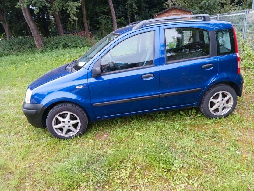Panda