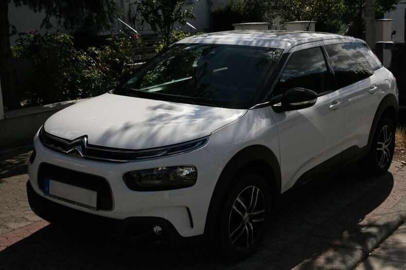 C4 Cactus