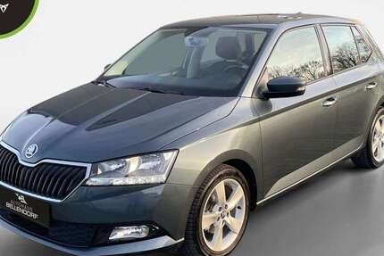 Skoda Fabia 10.011 km 14.940 &euro; Bottrop 46244