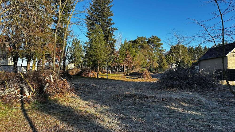 Grundstück Brielow Brielow - 99.000&euro; | Angebot:24983449