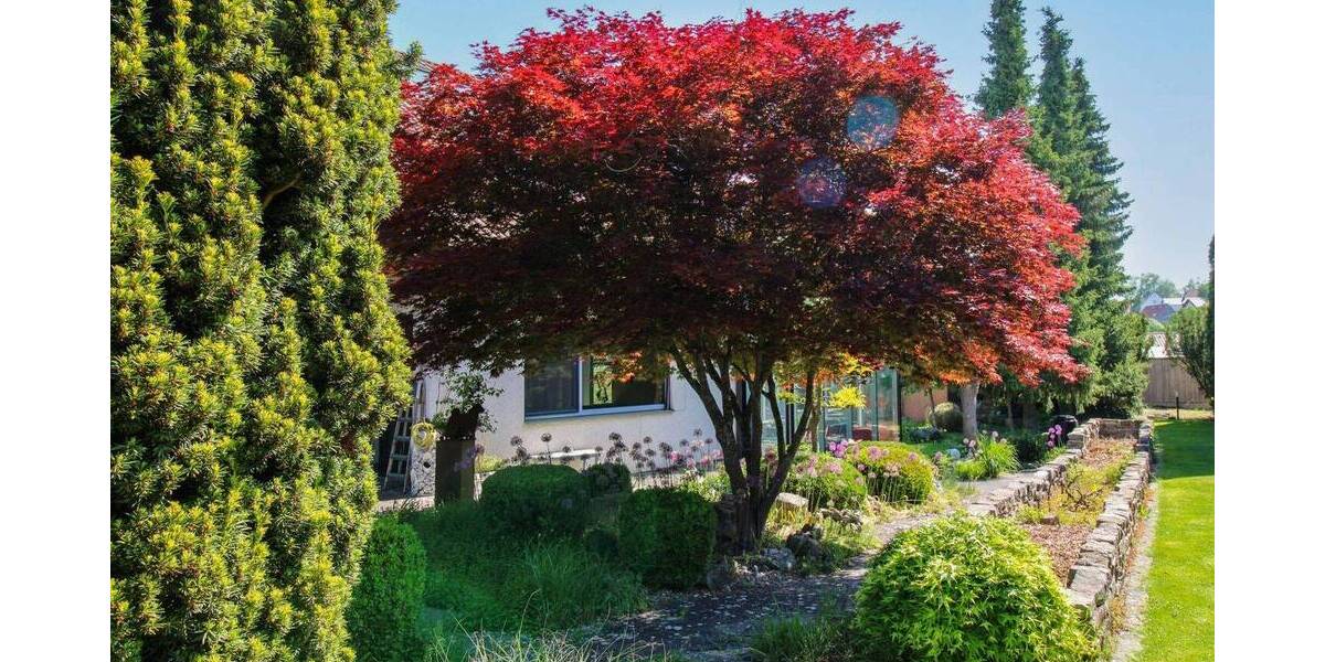 Einfamilienhaus Illerkirchberg Oberkirchberg - 5 Zimmer, 819.000&euro; | Angebot:26411349