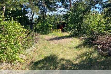 Grundstück Fredersdorf-Vogelsdorf Vogelsdorf - 290.000&euro; | Angebot:25156176