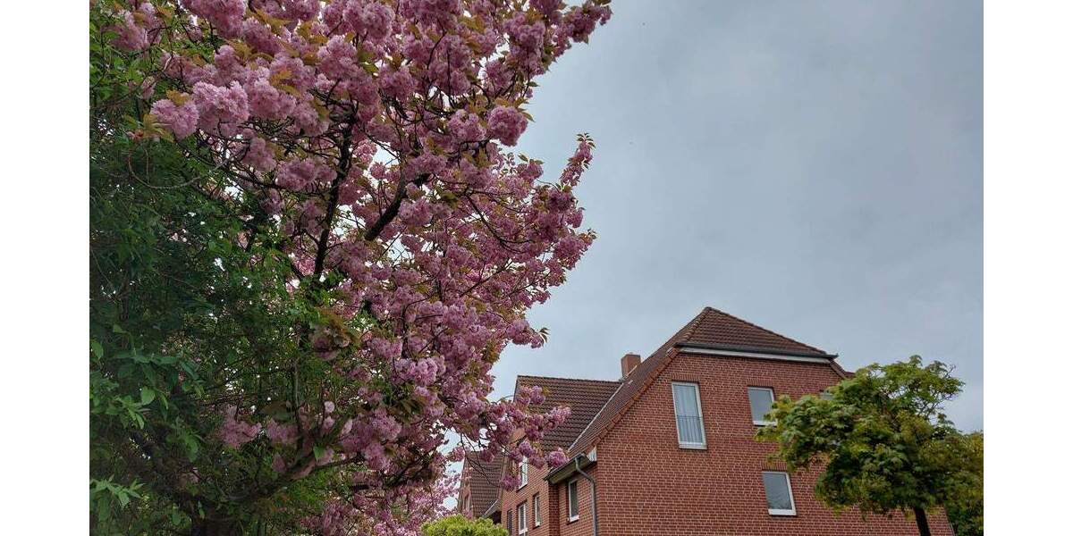 Etagenwohnung Hohe Börde Hohenwarsleben - 2 Zimmer, 70.000&euro; | Angebot:23479437