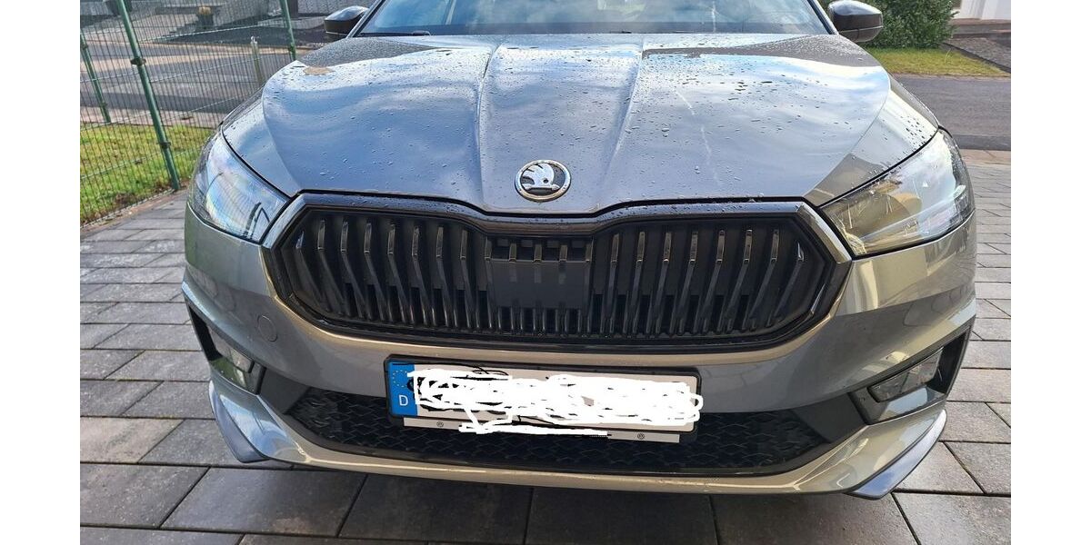 Skoda Fabia 7.650 km 18.950 &euro; Lebach 66822