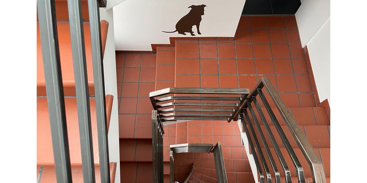 Gewerbeobjekt Volkmarsen - 1.200&euro; | Angebot:26222793