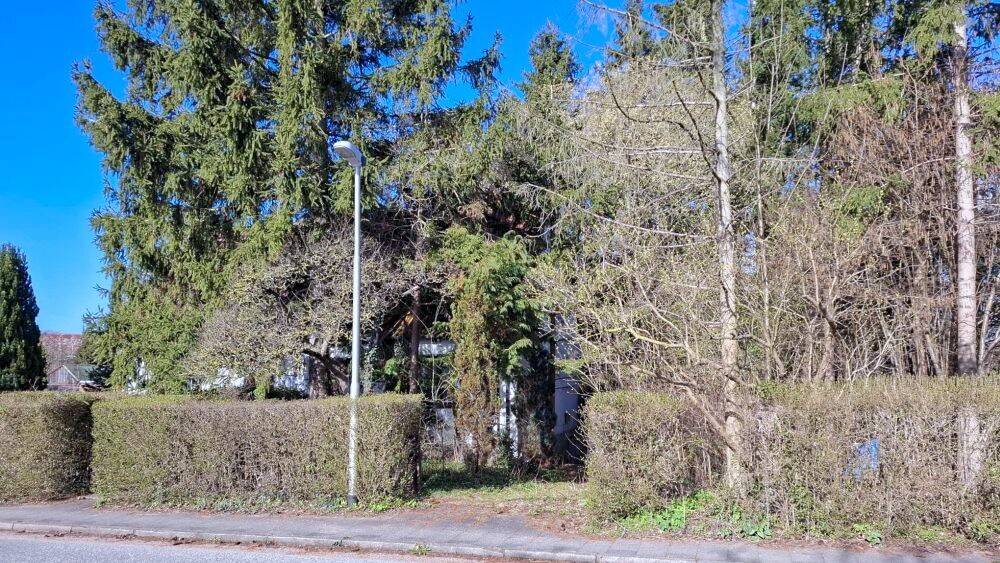 Doppelhaushälfte Malente Bad Malente-Gremsmühlen - 1 Zimmer, 54 m&sup2;, 50.000&euro; | Angebot:26247505