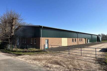 Halle in Heede 3.500 € 1000 m²
