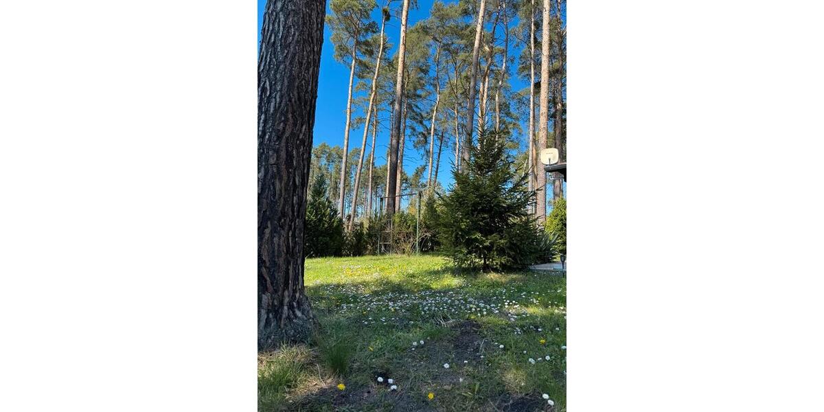 Einfamilienhaus Bad Düben - 3 Zimmer, 55 m&sup2;, 72.000&euro; | Angebot:26320788