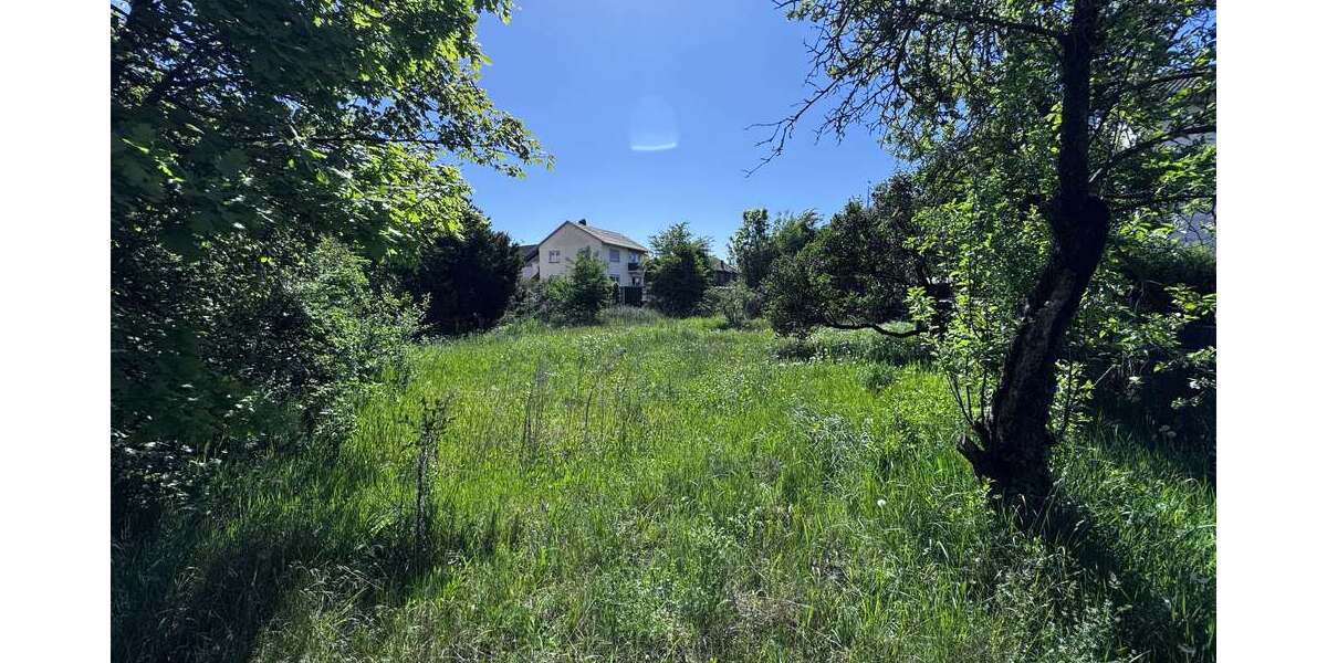 Grundstück Zwingenberg - 650.000&euro; | Angebot:27120635