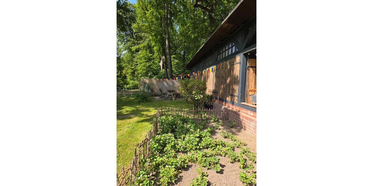 Dachgeschoßwohnung Suderburg - 2 Zimmer, 44 m&sup2;, 99.000&euro; | Angebot:27168828
