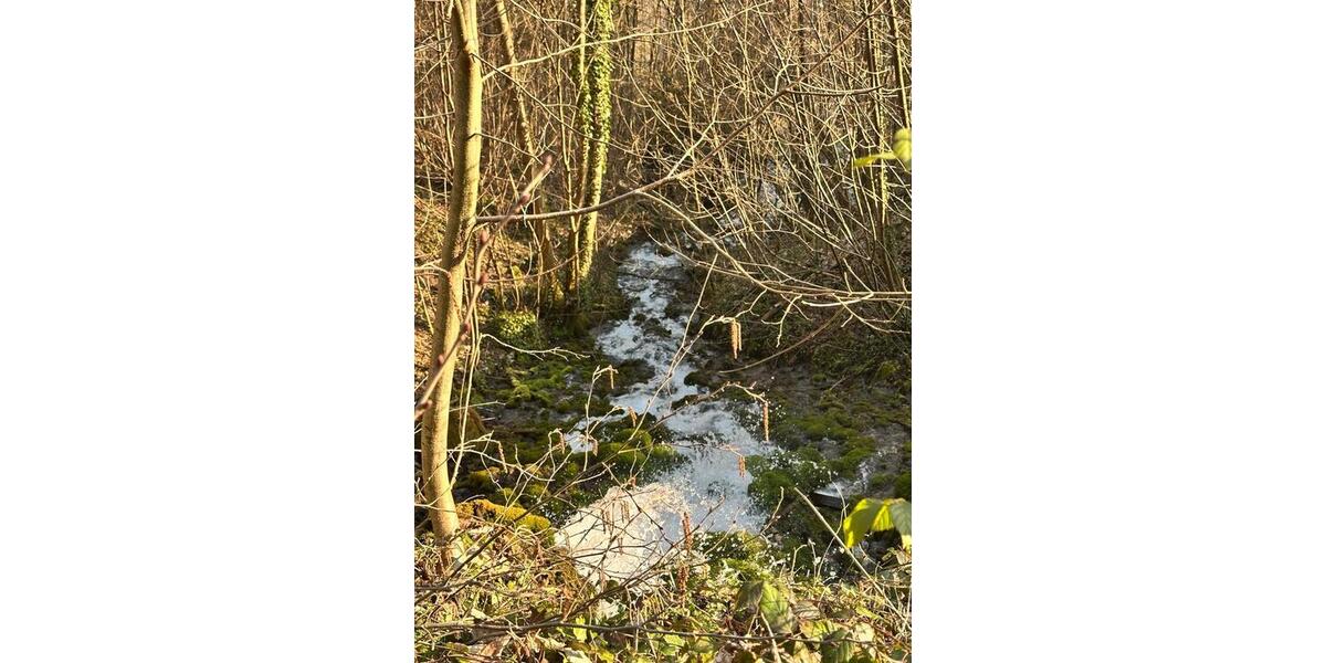 Doppelhaushälfte Oberndorf am Neckar - 5 Zimmer, 110 m&sup2;, 279.000&euro; | Angebot:26221642