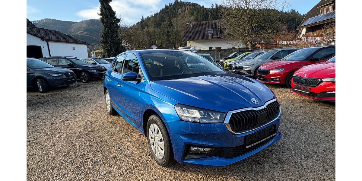 Skoda Fabia 9.000 km 16.990 &euro; Gutach 77793