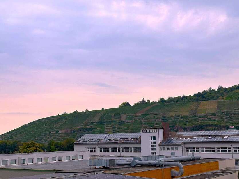 Wohnung zum Mieten in Esslingen am Neckar 518 € 49.8 m²