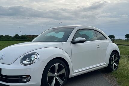 VW Beetle 125.600 km 8.799 &euro; Ganderkesee 27777