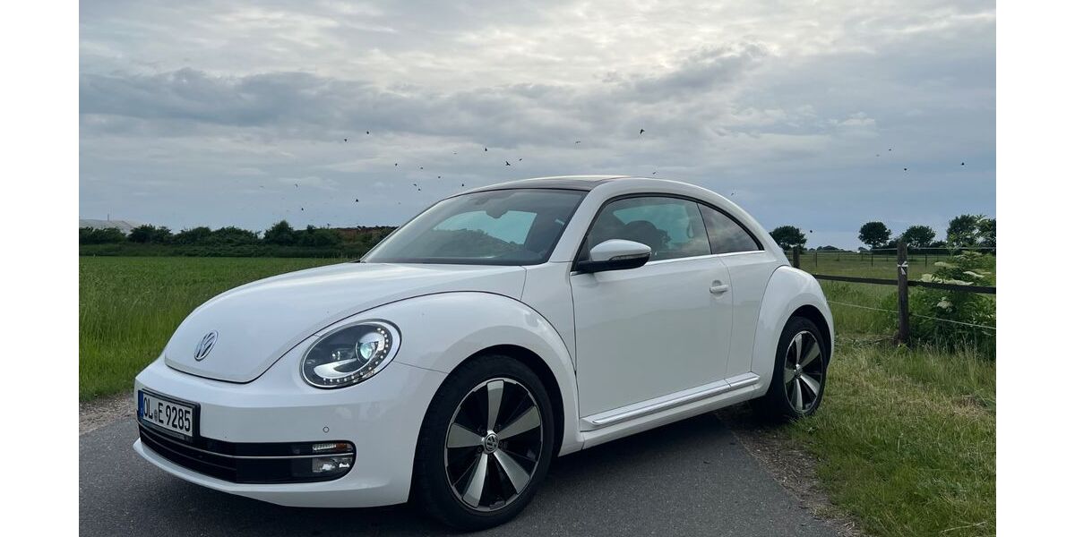 VW Beetle 125.600 km 9.299 &euro; Ganderkesee 27777