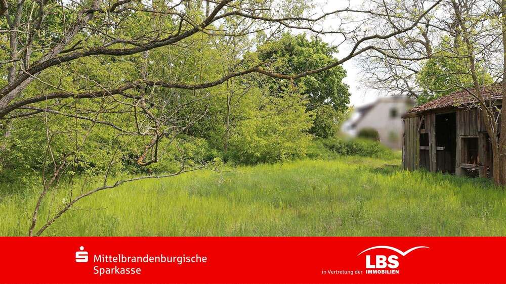 Grundstück Kotzen - 99.000&euro; | Angebot:25547726