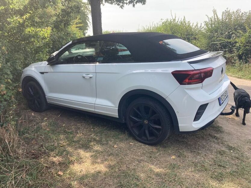T-Roc