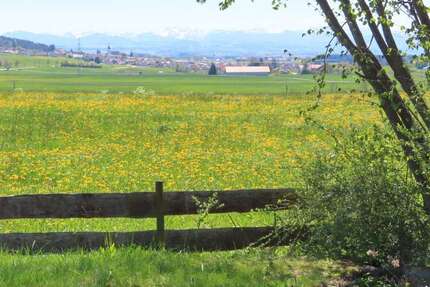 Haus Dietmannsried / Probstried Probstried - 6 Zimmer, 205 m&sup2;, 885.000&euro; | Angebot:25831924