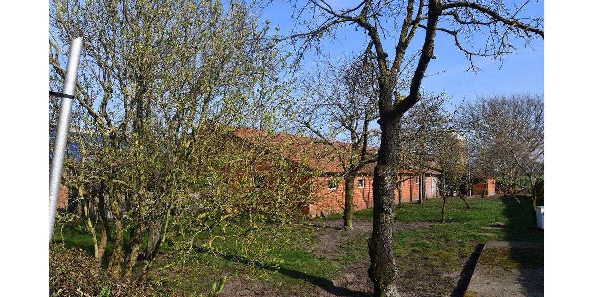 Mehrfamilienhaus, Wohnhaus Wagenfeld / Ströhen Ströhen - 8 Zimmer, 240 m&sup2;, 435.000&euro; | Angebot:25736482