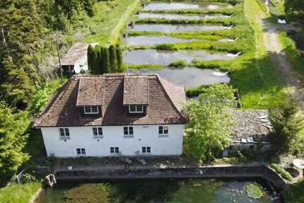 Haus zum Kaufen in Ochsenhausen 1.180.000 € 140 m² 5 zimmer