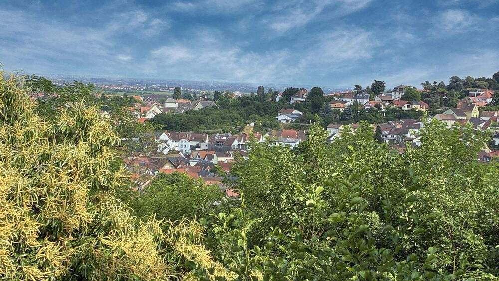 Einfamilienhaus Bad Dürkheim - 8 Zimmer, 175 m&sup2;, 749.000&euro; | Angebot:24764140