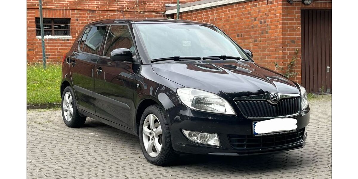 Skoda Fabia 250.000 km 2.499 &euro; Geesthacht (bei Hamburg) 21502