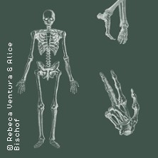 Anatomie von Auge bis Zeh 02.09.2026 Kunstraum Heartspace