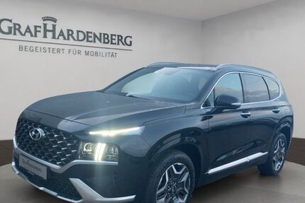 Hyundai SANTA FE 56.778 km 37.990 &euro; Landau 76829
