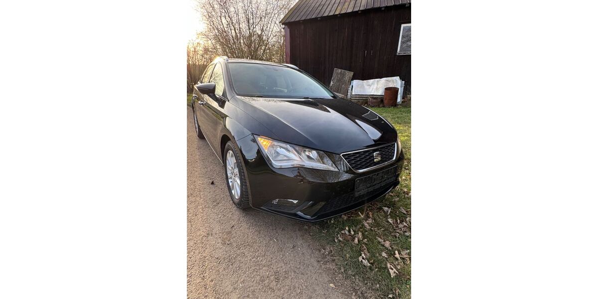 Seat Leon 170.000 km 6.900 &euro; Mücke 35325