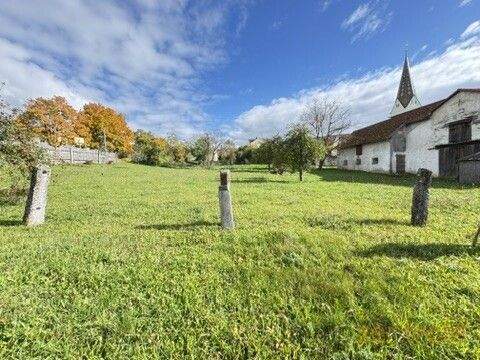 Ländliche Idylle für Mensch und Tier - Ehemalige Landwirtschaft in Bieswang 7 zimmer