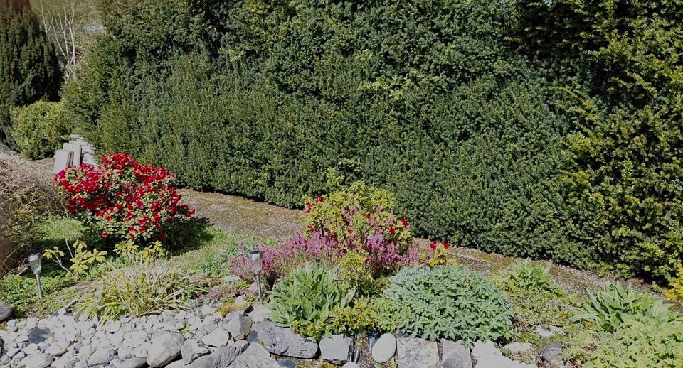 Etagenwohnung Hemer - 2 Zimmer, 66 m&sup2;, 650&euro; | Angebot:26321217