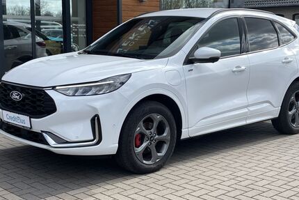 Ford Kuga 2.918 km 36.850 &euro; Essen (Oldenburg) 49632