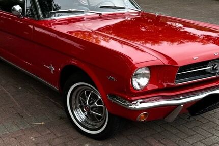 Ford Mustang 55.000 km 41.500 &euro; Erwitte 59597