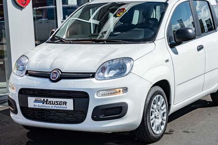 Fiat Panda 6.000 km 14.775 &euro; Pohlheim 35415