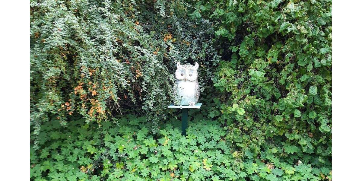 Grundstück Würzburg Unterdürrbach - 129.900&euro; | Angebot:26154869