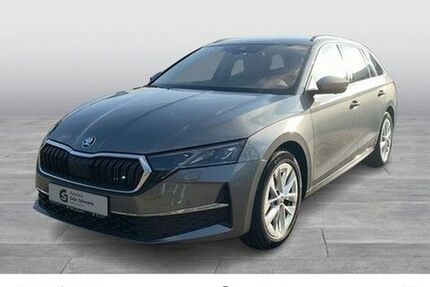 Skoda Octavia 36.500 km 36.550 &euro; Papenburg 26871