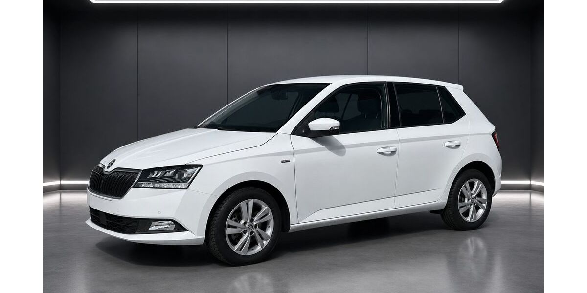 Skoda Fabia 94.000 km 12.299 &euro; Jettingen 71131
