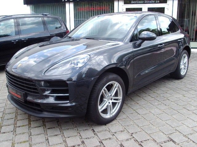 Macan