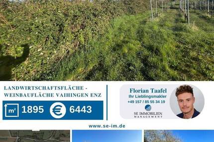 Landwirtschaftsfläche Weinbaufläche zimmer