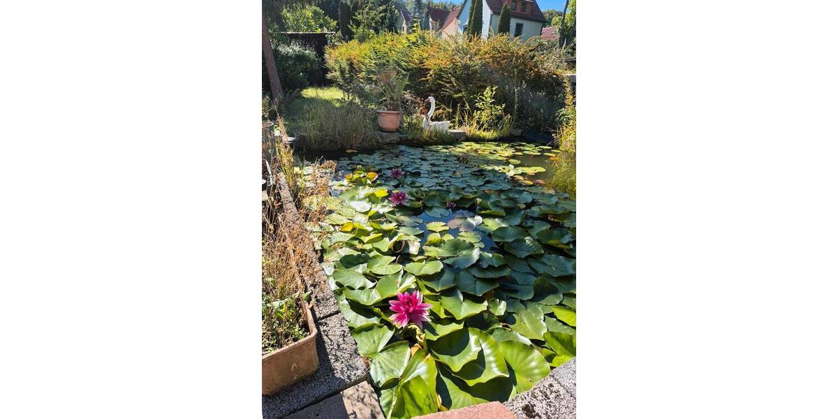Reihenhaus Waltershausen - 6 Zimmer, 160 m&sup2;, 79.000&euro; | Angebot:23174286