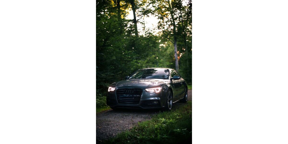 Audi A5 99.600 km 22.400 &euro; Dresden 01277