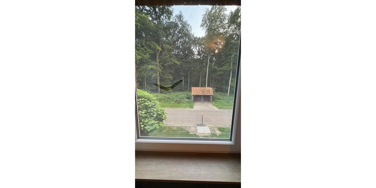 Mietwohnung in 31619 Binnen, Haustiere erlaubt❣️ 2 zimmer