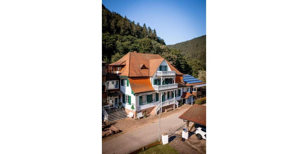 6 Zimmer pure Möglichkeiten in Naturlage - Eberbach im Odenwald 6 zimmer
