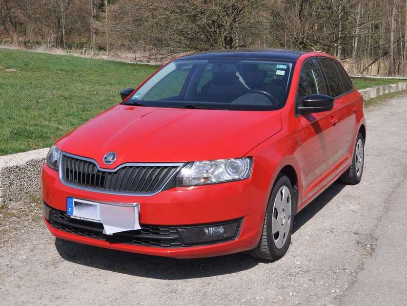 Rapid/Spaceback