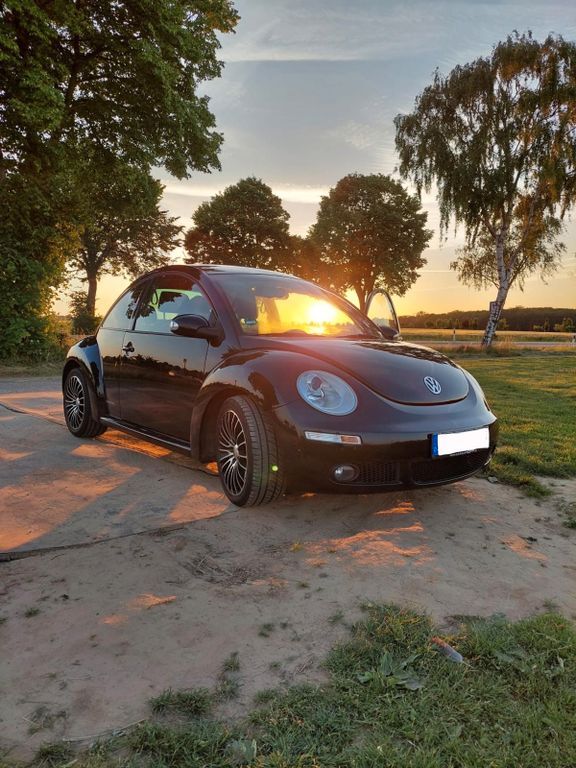 Beetle