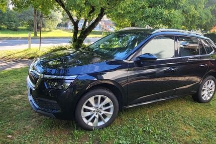 Skoda Kamiq 81.700 km 17.000 &euro; Leutkirch 88299