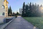 Grundstück Dresden Seevorstadt-Ost/Großer Garten - 749.000&euro; | Angebot:26427286