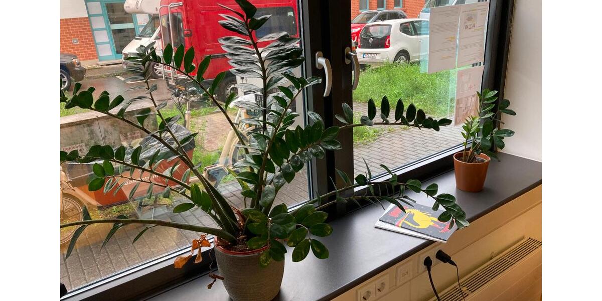 Gewerbeobjekt Konstanz Konstanz-Fürstenberg - 260&euro; | Angebot:26346844