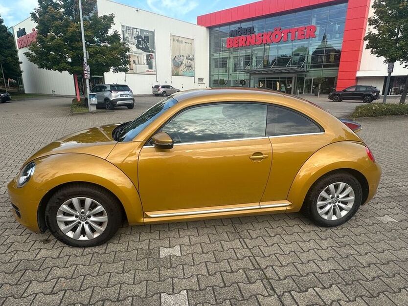 Beetle