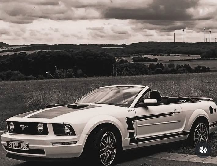 Mustang